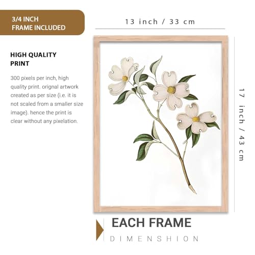 Image of kotart Floral Art Home Decoration | Aesthetic Floral Paintings With Frame For Living Room Bed Room Hotel Wall Decor Digital Reprint Set of 3 (13X17 inch)