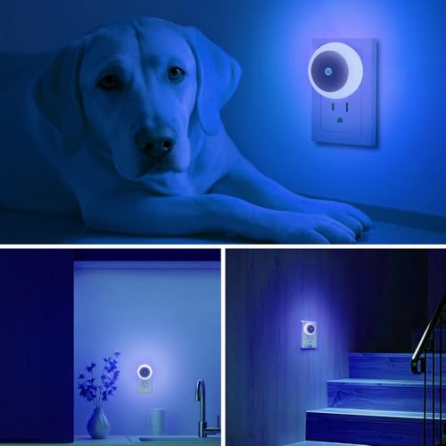 KINUR 6 Pack Blue, LED Night Lights Plug into Wall with Dusk to Dawn sensors, Plug in Night Lights for Kids Room, Bedroom, Bathroom, Baby Nursery,Stair Lights, Hallway Light — view 6