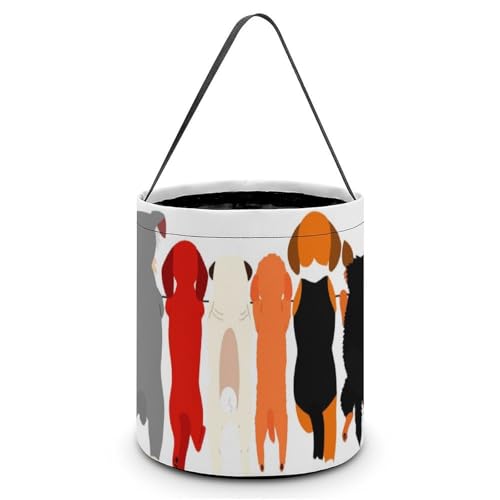 nEB LfBoXPbg  R[M[ nXL[ 킢 LfB َq Rei 񂰑 y p[eB[LOi v[g OWp