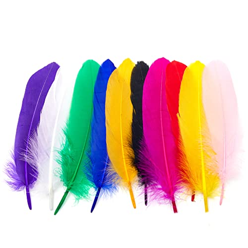 300Pcs Colorful Goose Feathers 4-6 Inches Natural Feathers For Diy Dream Catcher Accessories Wedding Party Decoration 20Colors #TOP1