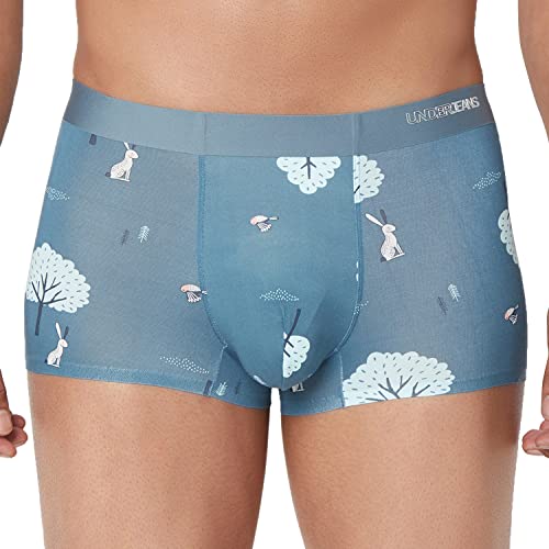 Image of Underjeans Men Trunk