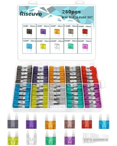 Riseuvo 250 Pcs Mini Fuse Kit - Automotive ATM Blade