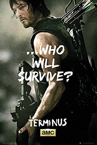 Grupo Erik FP3385 Poster The Walking Dead Daryl