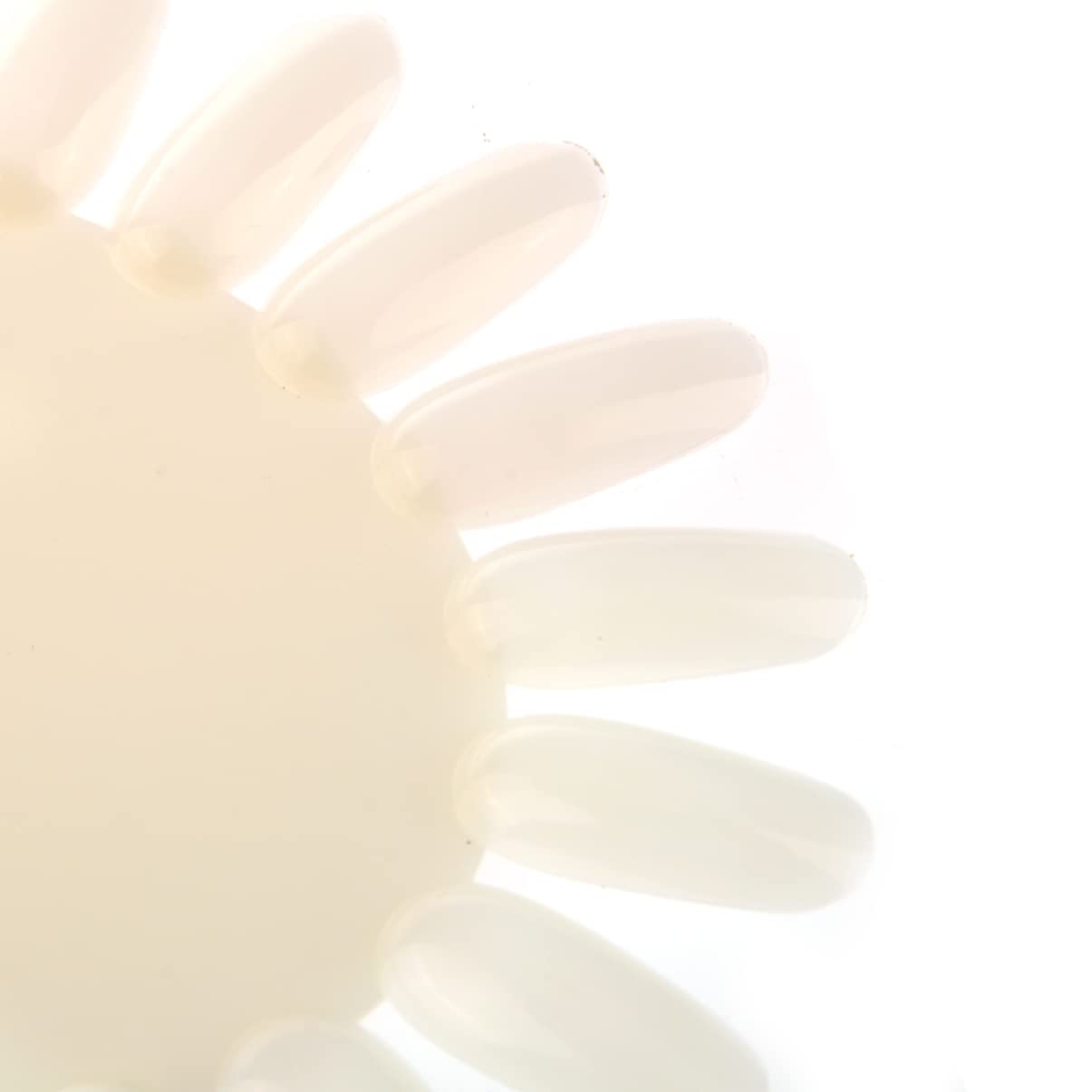 20pcs Beige Sunflower Shaped Nail Art Display Wheel Acrylic False Tips for Nail Polish Practice and Showcase for Salon Use