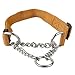 Nylon Dog Training Collar Martingale Pet Collars for Medium Large Dogs Half Check Dog Collar 4 Colors Red Blue Gold XL