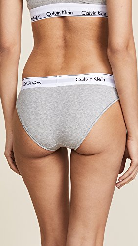 Image of Calvin Klein Women's Modern Cotton Stretch Bikini Panty