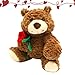 Xinhuju Oso de peluche Imagen de Xinhuju Oso de peluche