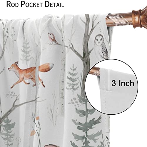 Gy Cartoon Space Blackout Curtains Rod Pocket Curtains,Watercolor Forest Animal Painting Fox Rabbit Cat Eagles Boys Girls Teen Window Curtains For Kitchen Living Room Bedroom Decor 42X45 Inch #TOP2