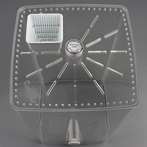 CXJC Reptielenkooi Insectenvoerdoos Acryl Transparant Plastic Desktop Reptielendoos met meerdere ventilatieopeningen en… - Afbeelding 5