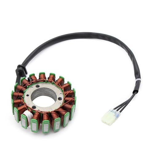 Stator de moto anti-panne d'allumage pour TX300i et FE450 12V