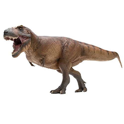 Tyrannosaurus rex 1:35 modèle d'art scientifique AMITD