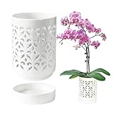 pavtner Orchid Pots with Holes,4 Inch Ceramic...