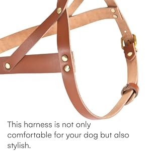 Black Rhino Leather Heavy Duty Dog Harness - Service Dog Vest - Padded Tactical Dog Harness - No Pull Dog Chest Harness Ideal for All Types of Dog Breed Black Rhino Leather Heavy Duty Dog Harness – Service Dog Vest – Padded Tactical Dog Harness – No Pull Dog Chest Harness Ideal for All Types of Dog Breed