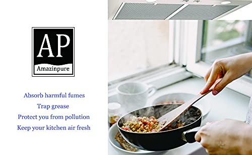 Amazinpure 2 Pack Range Hood Filter 97007696 Aluminum Charcoal Combo Compatible With Oem Part# Whirlpool W10355450 Broan Nutone 6105C 41F 413023 41000 46000 11000 4341999 4378581 (8.75 X 10.5) In #TOP4