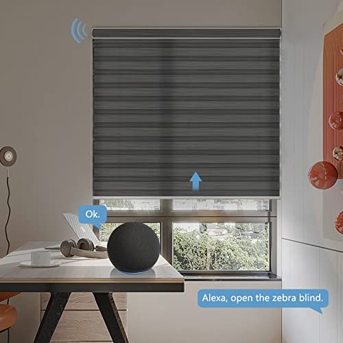 Xixingji Motorized Horizontal Window Shade, Waterproof Zebra Sheer Blinds 80% Blackout, Free Stop Blinds With Valance For Home Office, Cordless, Custom Size, Lime Gray #TOP1