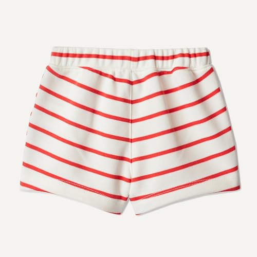 Image of Amazon Essentials x Sofia Grainge Toddlers and Baby Boys' Pull-On Knit French Terry Shorts, Pack of 2