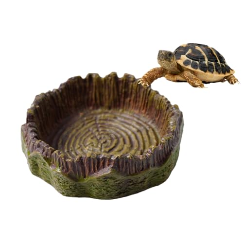 UIEXEA Terrario Tortugas Tierra, Cuencos Agua y Comedero Para Reptiles Amarillo, Accesorios para Tortuga Gecko Serpiente