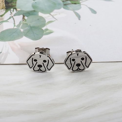 OKEYCH Vizsla Dog Lover Gift Vizsla Stud Earrings Vizsla Mom Jewelry Vizsla Dog Owner Gift Puppy Lover Gift3