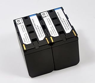 BTBAI Compatible bp-970 Battery for bp-911 bp-945 bp-930 Digital Camera Video Camcorder (2X Battery+Charger USB Dual)