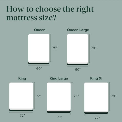 Image of Zinus| Global #1 Brand| Green Tea Memory Foam Premium Mattress| Pressure-Relieving Comfort & Orthopedic Support, Naturally Fresh, CertiPUR-US & Oeko-TEX Certified Queen (75 x 60 x 8 inch)