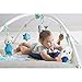 Tiny Love Gymini Deluxe Infant Activity Gym Play Mat, Tiny Princess Tales