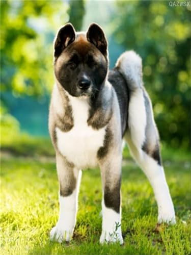Kit peinture diamant 5D fait main à offrir à un adulte passionné de chien