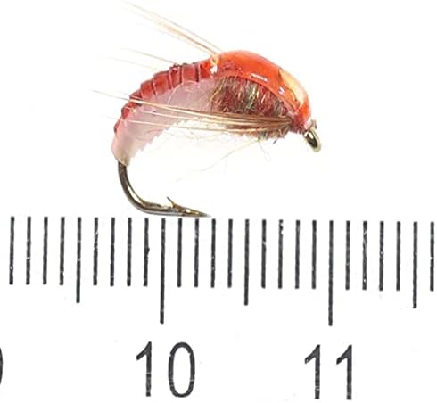 Coherny Realistic Nymph Scud Fly for Trout Fishing Artificial Insect Bait Lure Simulated Scud Worm Fishing Lure 6Pcs/Set 12 (K 6PCS) - 2