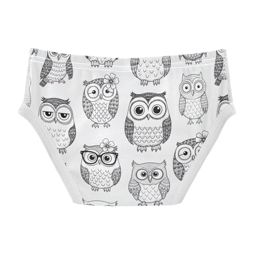 CHIFIGNO Boys' Briefs Cute Owl Gray Toddler Boy Underwear Soft Cotton Underwear Briefs2