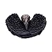 Produktbild Nemesis Now Edgar Allen Poe's Nevermore Raven Skull Schmuckhalter Schmuckschale, schwarz, 17 cm