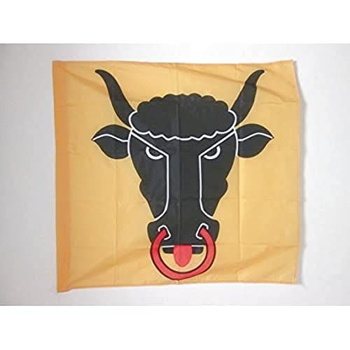 AZ FLAG, Canton of Uri Flag, 3x3 Ft, 100% Polyester Uri, UR Banner with Sleeve, Fade Resistant, Vivid Colors, 3' x 3' Feet