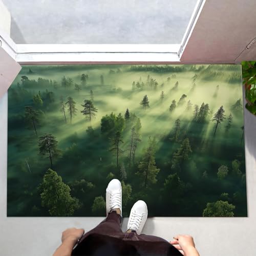 Tapis Entrée Antidérapant Absorbant 80X120 cm - Paillasson Grand Format Résistant