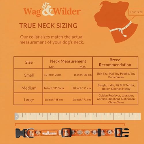 Image of Wag and Wilder Heavy Duty Dog Collar and 5 FT Leash Set for Small Dogs - Quick Release Buckle, Neoprene Padded Handle & Strong Metal Hook (Puppy Parade Orange)