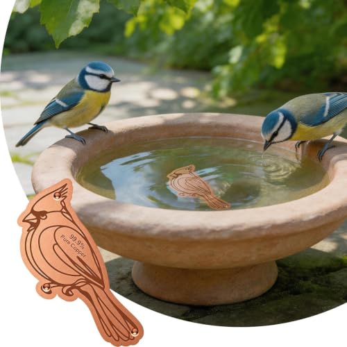 Disco de cobre para bebedero de pájaros de jardín con soporte 5