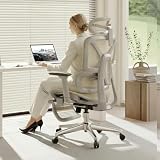 FLEXISPOT ErgoX Premium Chair