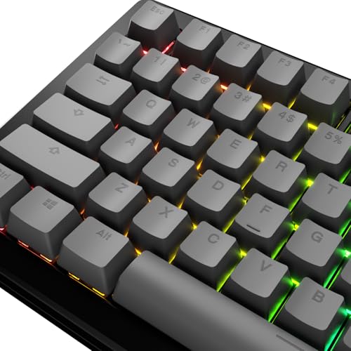 Image of GLORIOUS Gaming - GPBT Basics (PBT Keycaps), Armor Gray, No Fade Dye-Sublimated, for Custom Mechanical Keyboards, Fits 100%, 75% 65% 60%, Fits ANSI & ISO, Supports Windows & macOS - English (US)