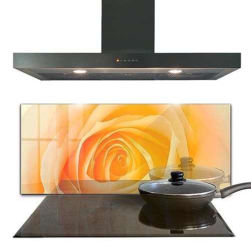 Panneau de cuisine lavable en verre trempé Wallfluent pour protéger et décorer vos murs