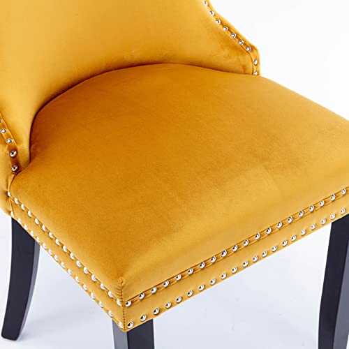 Brisca Set of 2 Velvet Dining Chair with Backstitching Nailhead Trim and Solid Wood Legs,High Density Foam Cushion W/Steel Spring Inner for Kitchen,Sitting Room,Apartment,Golden by Brisca - Used condition - Image 5