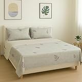 DH DREAMER HOME
