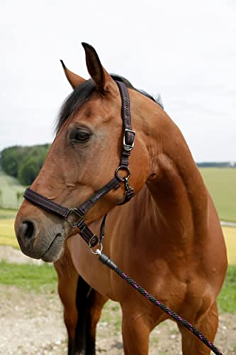Cabestro para caballos Goleygo System con mosqueton rapido para evitar tirones en ponis 2