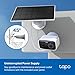 Tapo C400 KIT 1080p Solar Überwachungskamera für außen, Farbnachtsicht, WLAN 2,4 GHz, Zwei-Wege-Audio, Personenerkennung, lokale Speicherung über microSD-Karte oder H500-Homebase
