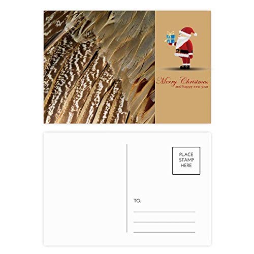 Cartes postales serpent de Père Noël à glisser sous le sapin en famille