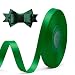 MacroHu Nastro Raso,1cm x 23M Nastro Decorativo Con Fiocco, Nastro Colorato Raso per Regalo Decorazione,Compleanno,Decor di Nozze,Regali Decor,Natalizi,Palloncini,DIY-Creazione (Verde)