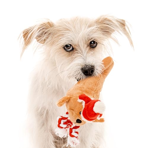 Holiday-Collection-Dog-Toys-Small-Sized-Walter-The-Walrus-Cute-Durable-Sustainable-Plush-Chew-Toys-for-Dogs-Made-from-Eco-Friendly-Recycled-Materials-Go-Green