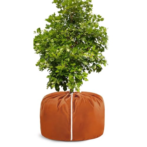 ~pv^[Jo[ - ۉhėp\ - O v^[ fM ی Jo[,K[fi[ z[I[i[ O peBI K[f [h  ʎ p