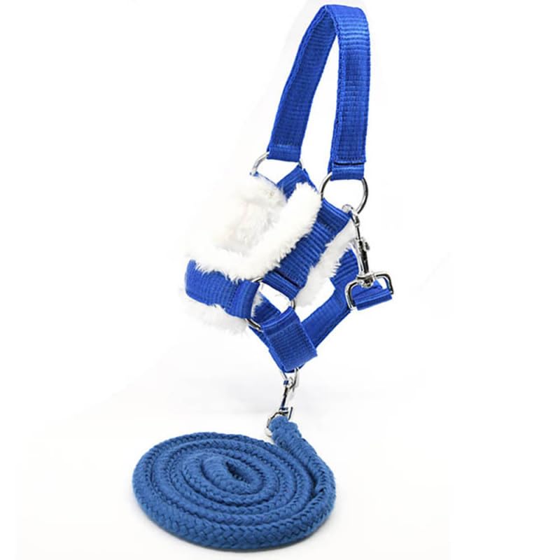 Hobby Horse schwarz A3, Vollstab Pferd mit Netz, Gebiss, Zügel, Halfter und blauer Insektenmütze, Pferdekopf Stab für Hobby Horsing Kinder und Jugendliche – Black Star