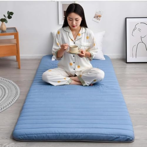 AOPIPI VO}bgX ᔽ VO 5cm ̈U݌v QALvAt@~[AAAp[g݂ɍœK (80*190cm,u[)