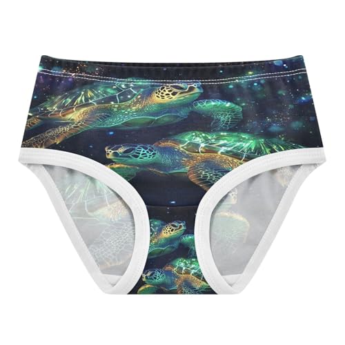 Galaxy Sea Turtles Toddler Girls's Underwear 2T 202b8954