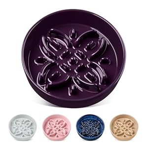 vancasso Ceramic Slow Feeder Dog Bo...