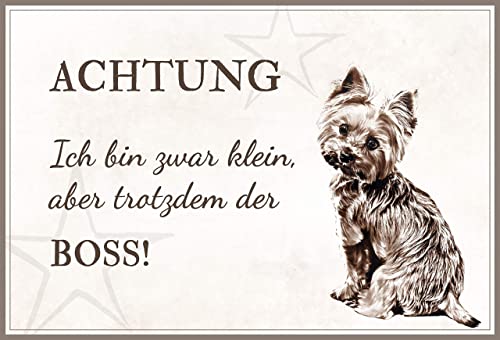 ZAUBERBILD Hundeschild Warnung | Yorkshire Terrier | Warnschild Vorsicht Hund | 25x17cm Alu