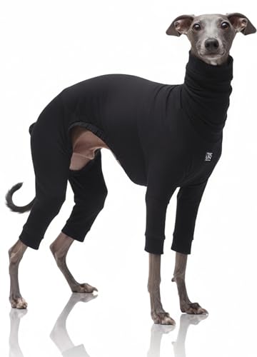 [Jenma] y_炩RbgE₷z C^O  ~  p[X ^ C^O C^AO[nEh ~js ~j`AsV[ EBybg OCnEh  hbOEFA   Rbg Xgb` ubN S 